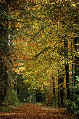 BUITEN BEELD Foto: 285405
