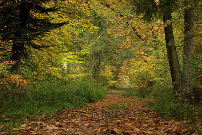 BUITEN BEELD Foto: 285410
