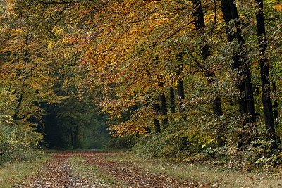 BUITEN BEELD Foto: 285414