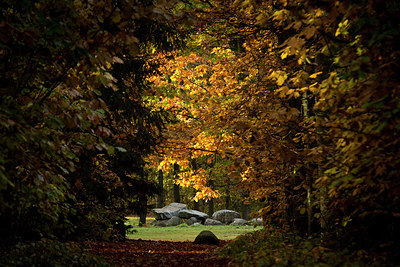 BUITEN BEELD Foto: 285430