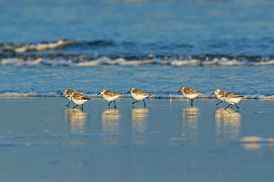 BUITEN BEELD Foto: 285458