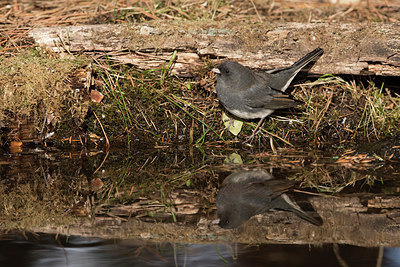 BUITEN BEELD Foto: 285473