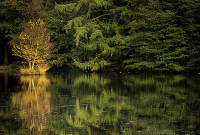 BUITEN BEELD Foto: 285500