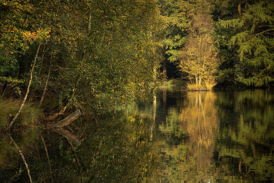 BUITEN BEELD Foto: 285501