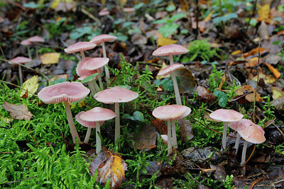 BUITEN BEELD Foto: 285504