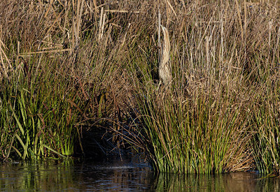 BUITEN BEELD Foto: 285506