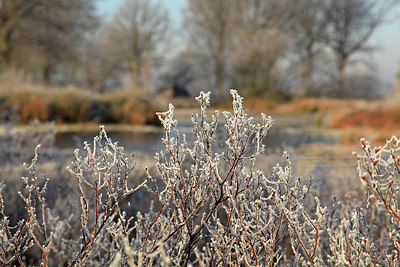 BUITEN BEELD Foto: 285520