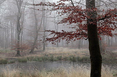 BUITEN BEELD Foto: 285527