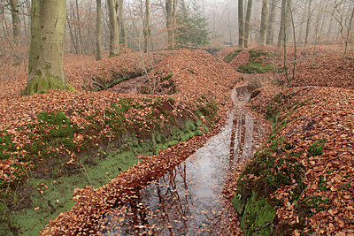 BUITEN BEELD Foto: 285533