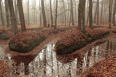 BUITEN BEELD Foto: 285537