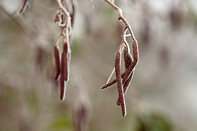 BUITEN BEELD Foto: 285538