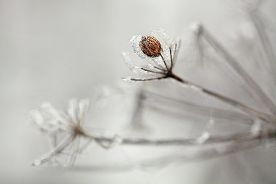 BUITEN BEELD Foto: 285542