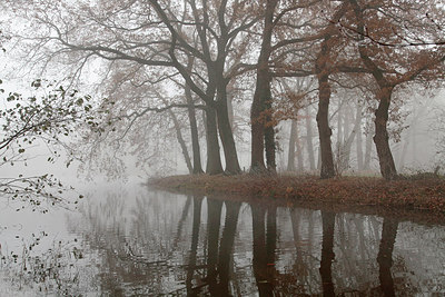 BUITEN BEELD Foto: 285543