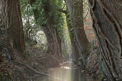 BUITEN BEELD Foto: 285544