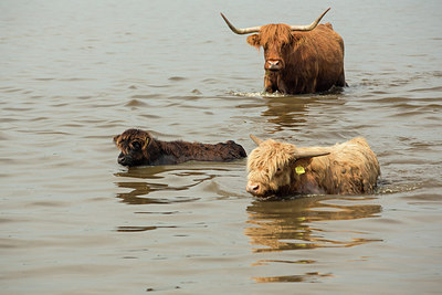 BUITEN BEELD Foto: 285668