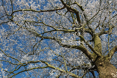 BUITEN BEELD Foto: 285692
