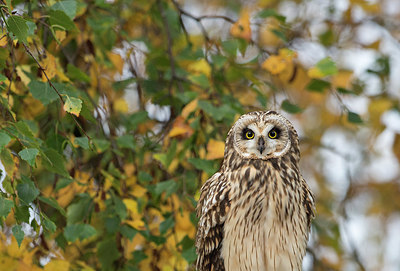BUITEN BEELD Foto: 285710