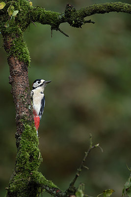 BUITEN BEELD Foto: 285761