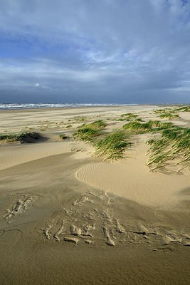 BUITEN BEELD Foto: 285775