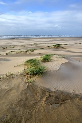 BUITEN BEELD Foto: 285779