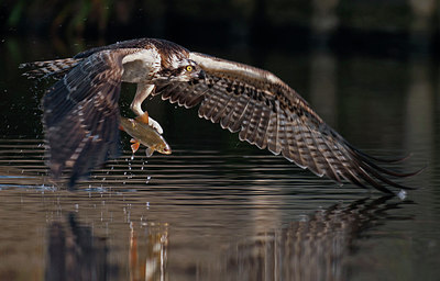 BUITEN BEELD Foto: 285809
