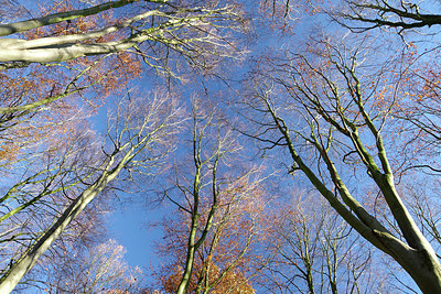 BUITEN BEELD Foto: 285826