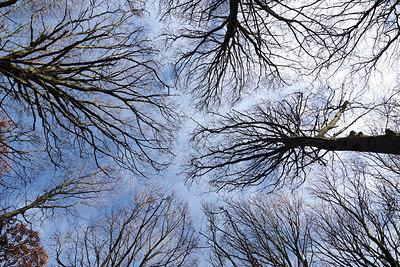 BUITEN BEELD Foto: 285827