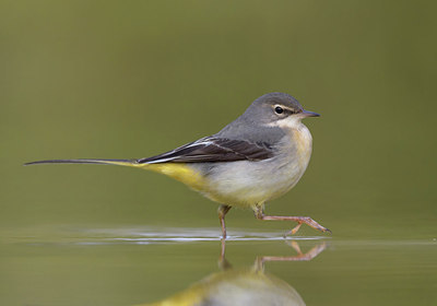 BUITEN BEELD Foto: 285868
