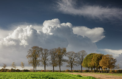 BUITEN BEELD Foto: 285897