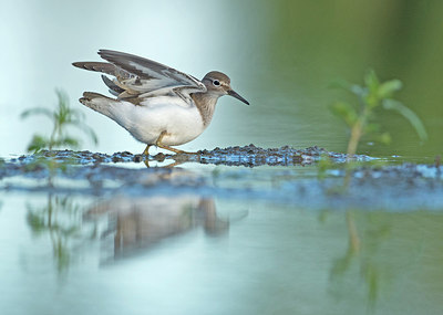 BUITEN BEELD Foto: 285907