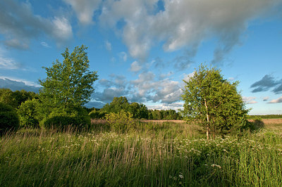 BUITEN BEELD Foto: 285924