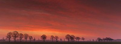 BUITEN BEELD Foto: 285938