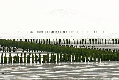 BUITEN BEELD Foto: 285959