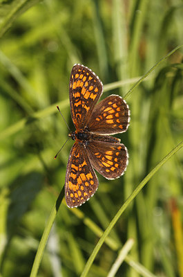 BUITEN BEELD Foto: 286080