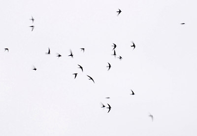 BUITEN BEELD Foto: 286109