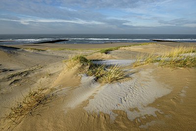 BUITEN BEELD Foto: 286159