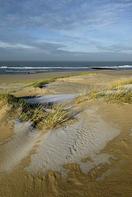 BUITEN BEELD Foto: 286160