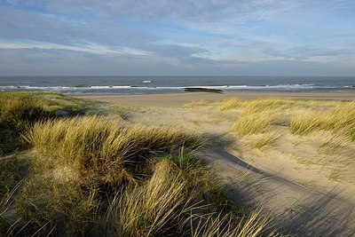 BUITEN BEELD Foto: 286161