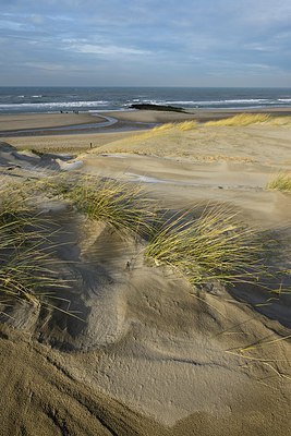 BUITEN BEELD Foto: 286170