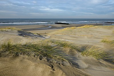 BUITEN BEELD Foto: 286171
