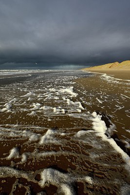 BUITEN BEELD Foto: 286224