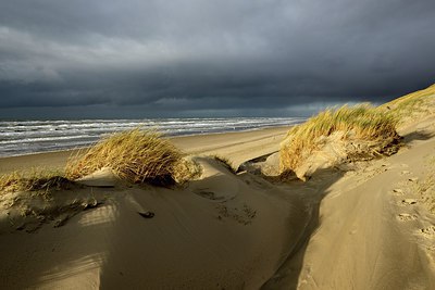 BUITEN BEELD Foto: 286226
