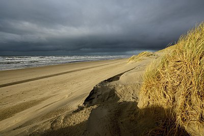 BUITEN BEELD Foto: 286228