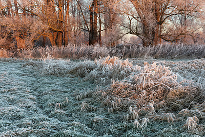 BUITEN BEELD Foto: 286291