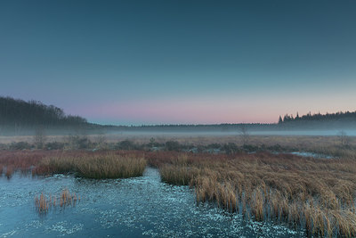 BUITEN BEELD Foto: 286314