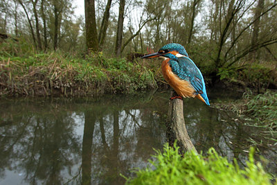 BUITEN BEELD Foto: 286358