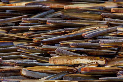 BUITEN BEELD Foto: 286360