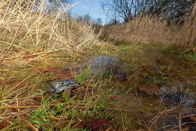 BUITEN BEELD Foto: 286399