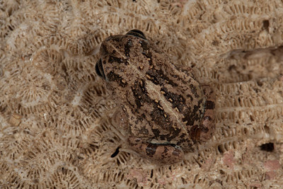 BUITEN BEELD Foto: 286420