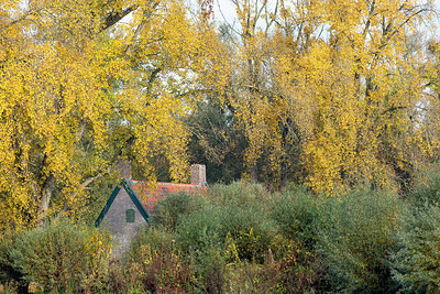 BUITEN BEELD Foto: 286434